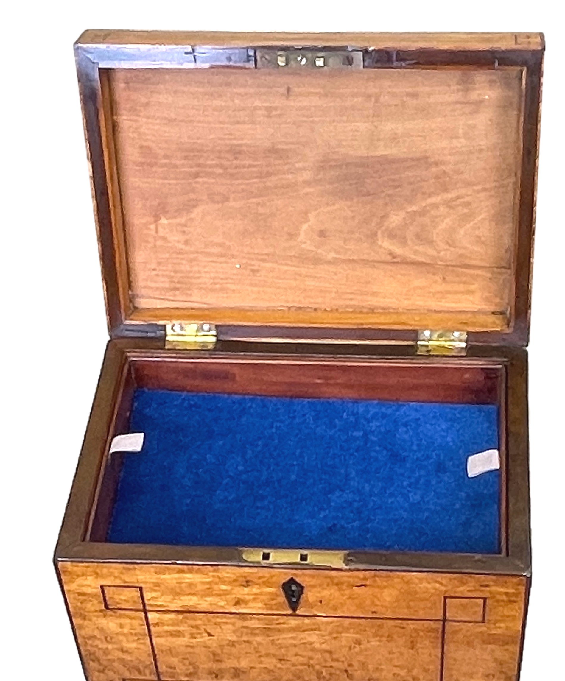 Regency Birdseye Maple Box On Stand S&S Timms Antiques