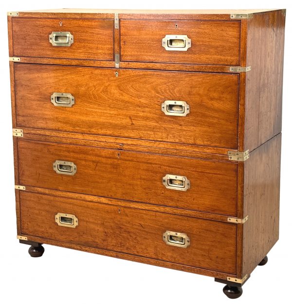 Camphor Wood 19th Century Military Campaign Chest Of Drawers